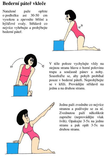 Cvičení - bederní páteř v kleče 1/1
