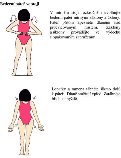 Cvičení - bederní páteř ve stoje 1/1