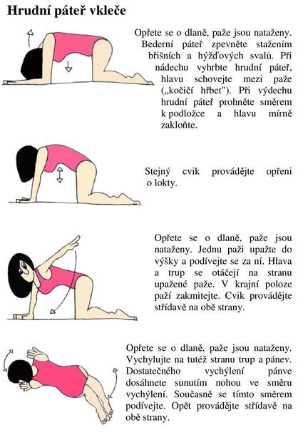 Cvičení - hrudní páteř v kleče 1/1